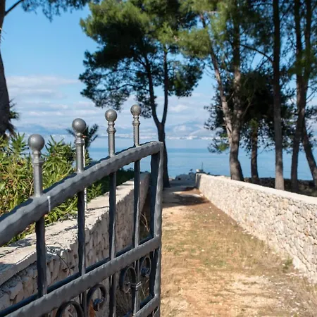 Rogač